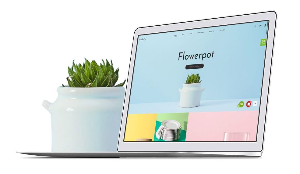 Ecommerce Website Features